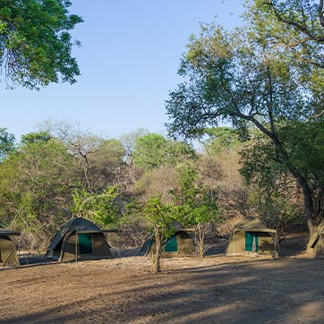 Group of tents and trees in the background