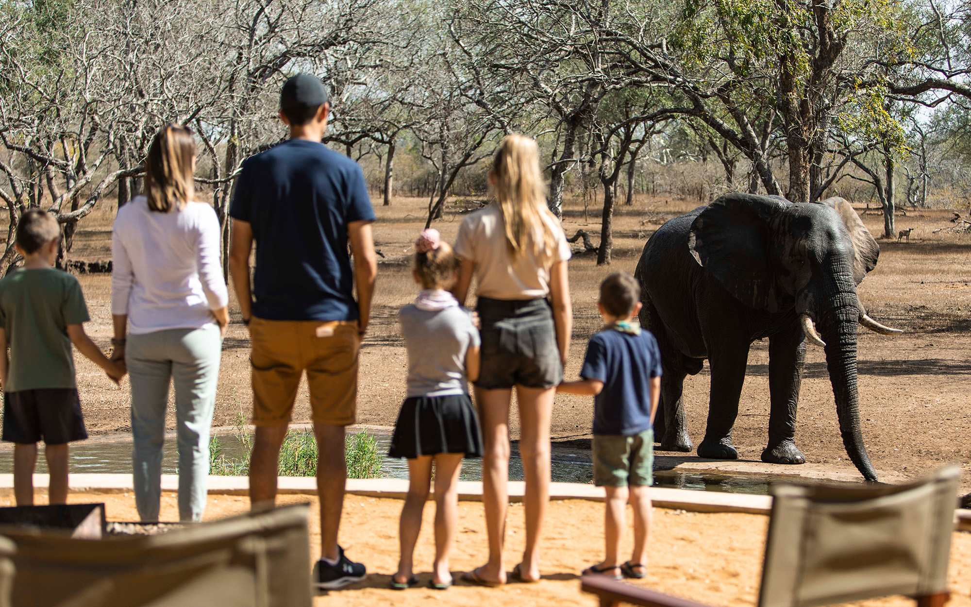 Family looking out at the elephant at Majete wildlife reserve
